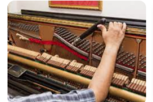 Compra-Venta Sin datos  afinador